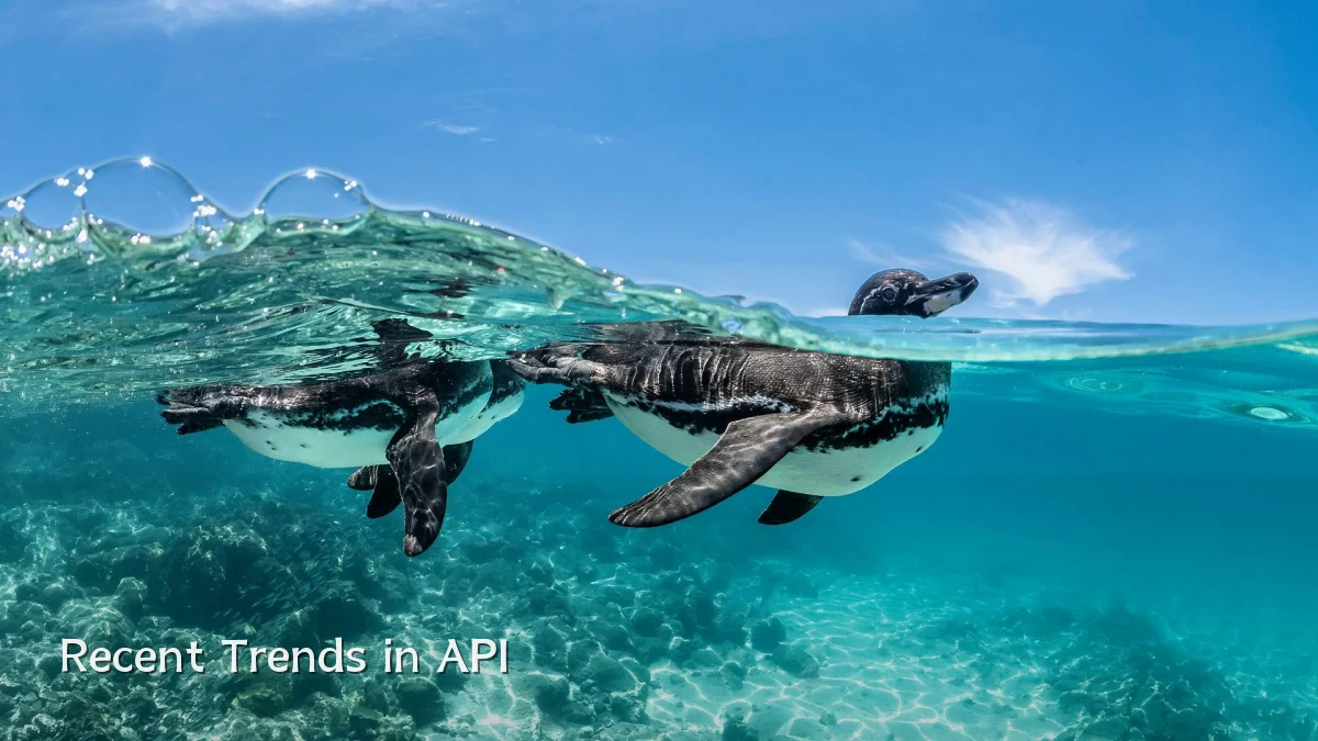 Recent Trends in API