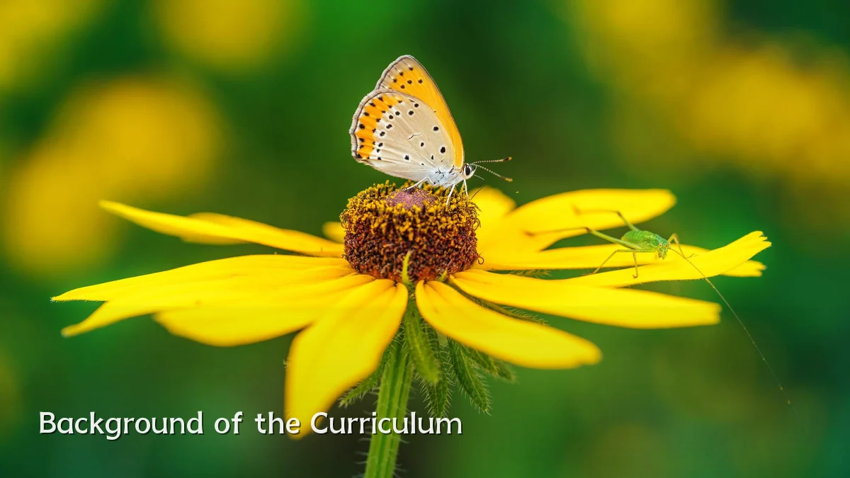 Background of the Curriculum