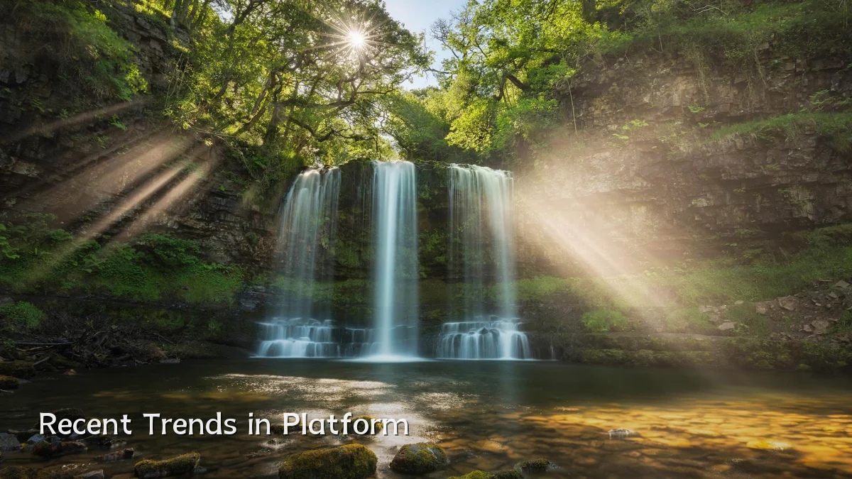 Recent Trends in Platform