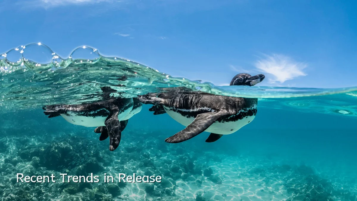 Recent Trends in Release